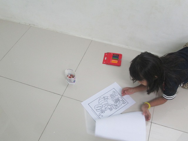 IMG 4613